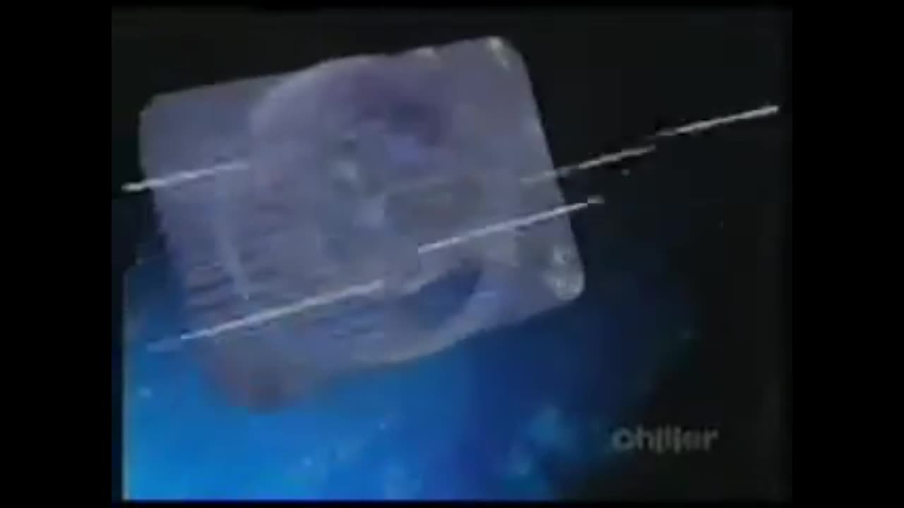 Miss Fritter’s Driving Skool Logos 4