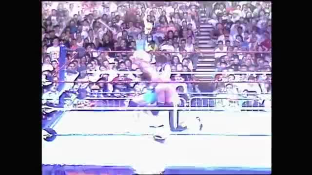 Summerslam 1991 - Bret Hart vs. Mr. Perfect (WWE Intercontinental Title Match)