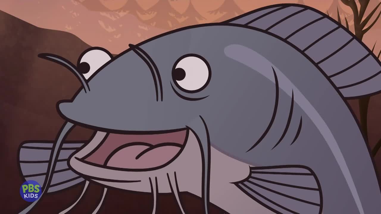 Nature Cat - Nature Catfish (Full Episode)