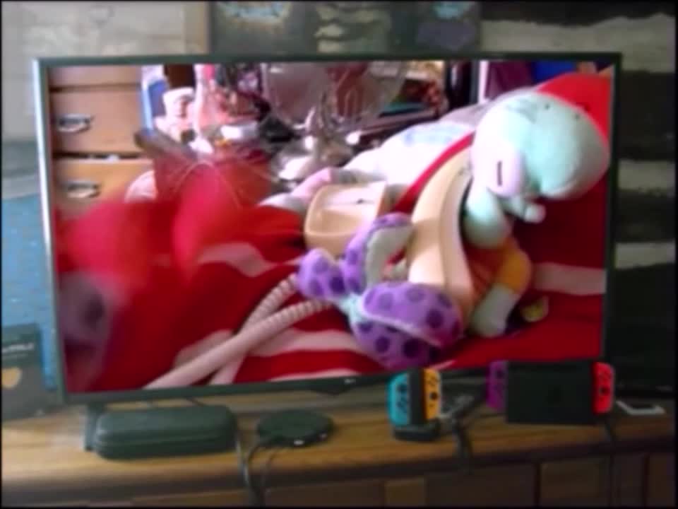 SH Plush Video: Bowling With Dunces & Pinheads SH Plush Video: Bowling With Dunces & Pinheads