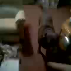 Bear's Been Smokin Da Wyeeeeed