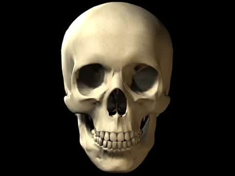 WOMEN DO NOT AGE AS WELL AS MEN