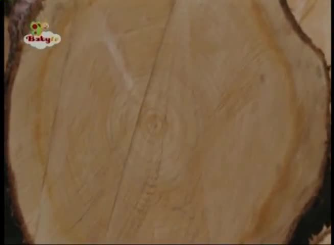 Crafty Rafty - Stick