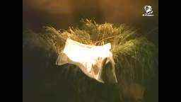 Teodora Couples For Christ Anti-Abortion Message - Manger (1999) HD Upscaled with Stereo Sound