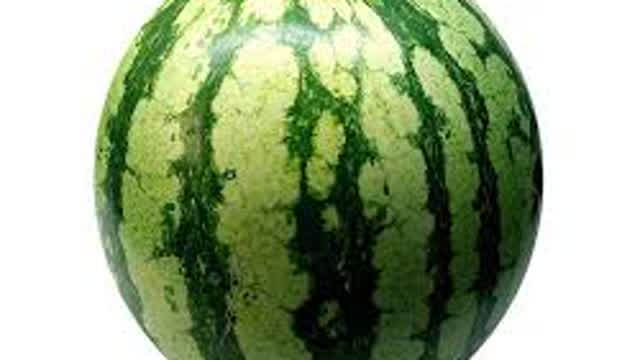 critica a los memes del 2025