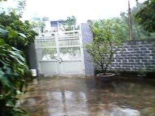 Rain- _-