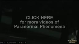 Nightcrawler Creatures Caught On Tape Nightcrawler Creatures Caught On Tape