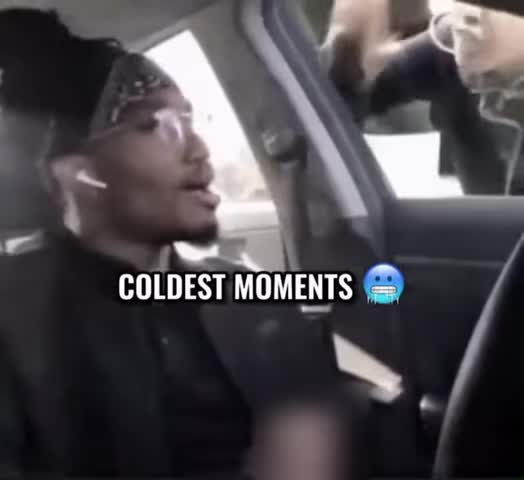 Dreamy Bull’s Coldest Moment Dreamy Bull’s Coldest Moment