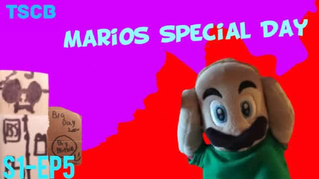 TSCB: Mario's Special Day