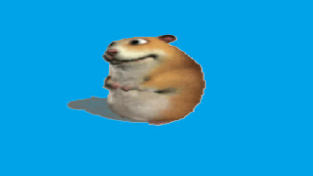 powrót xd