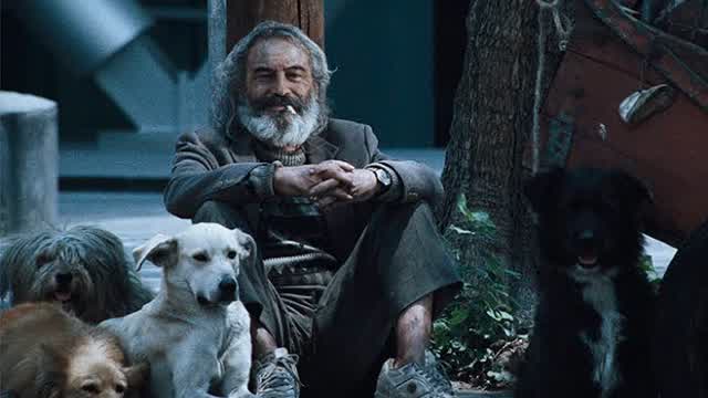 20 años de Amores Perros y el nuevo cine Mexicano (de La Filmoteca Maldita) 20 años de Amores Perros y el nuevo cine Mexicano (de La Filmoteca Maldita)