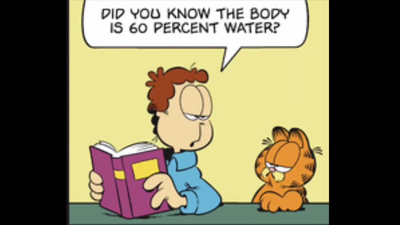 2025_04_29 Garfield Comic Dub