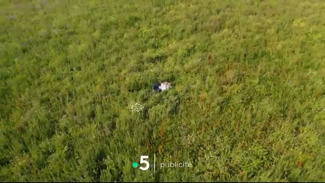 France 5 - Continuité (Juillet 11, 2025)