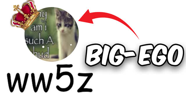 The Truth About ww5z