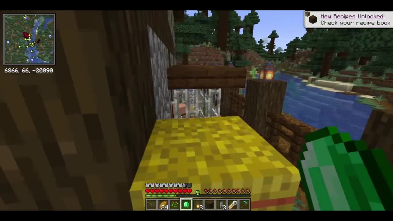 Untitled Villager Survival Pilot