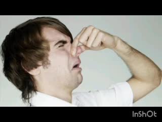 Critica destructiva al osito gominola de mierda Loquendo