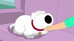 Family Guy - Cat Brian