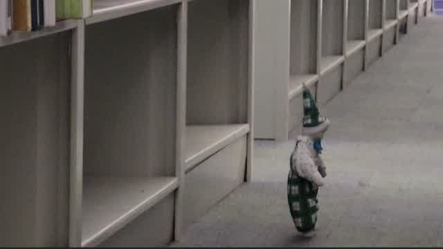 Top 15 Scariest Clown Sightings