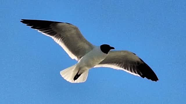 Beautiful Pictures I took at the Lydia Ann Channel