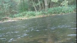 Impression from my last Kayak Trip (3)