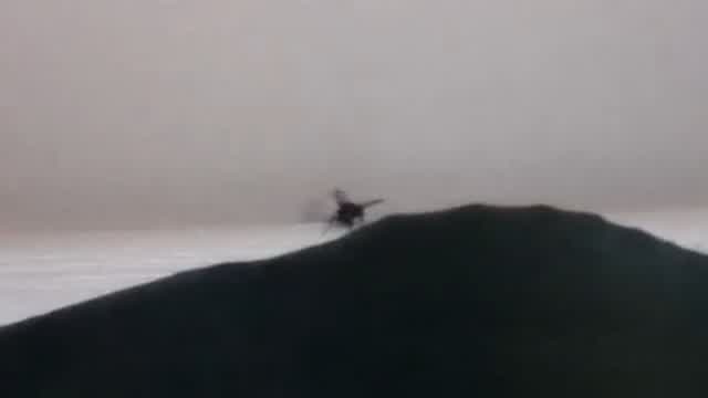 Big Fly