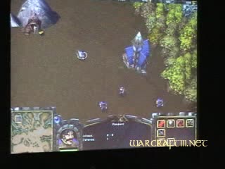 Warcraft III alpha (2001, pesant)