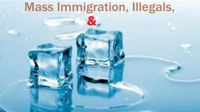 Mass Immigration, Illegals, and ICE