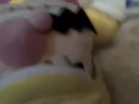 Wario's bmx challenge