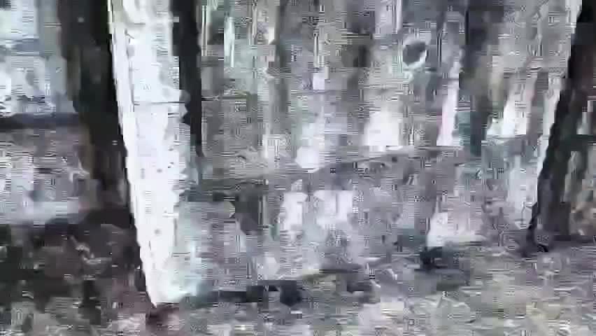 Video_q_with_a_line.mp4