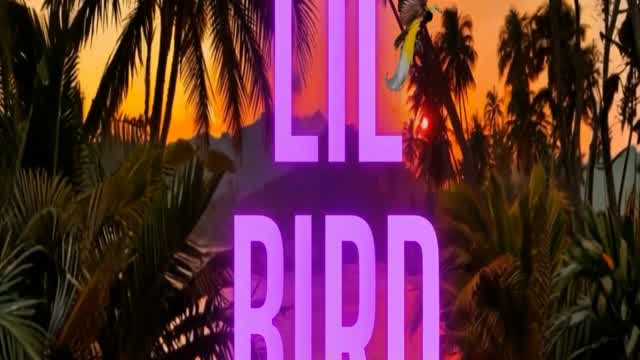 Lil Bird Knowz ~ Leah’s Lyricals Lil Bird Knowz ~ Leah’s Lyricals