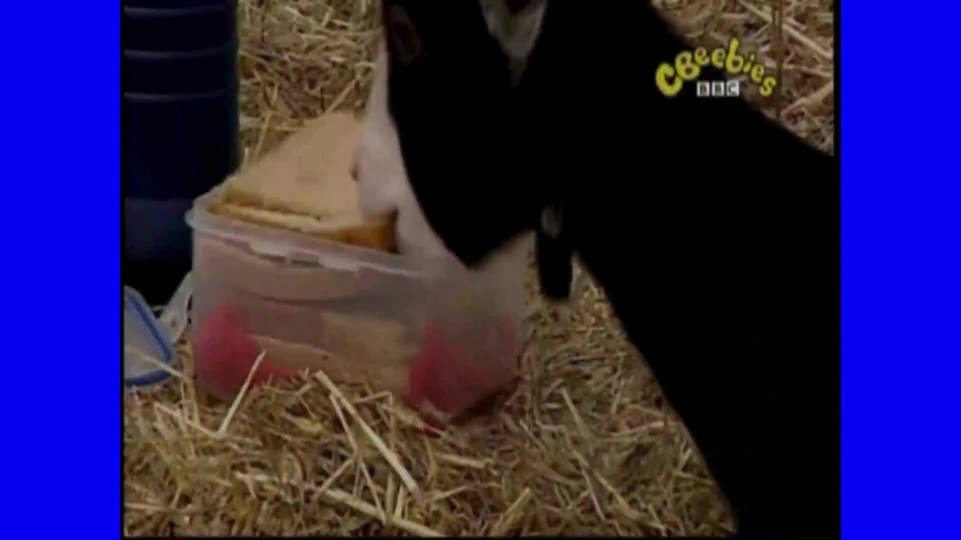 Big Barn Farm - Día caluroso y pegajoso / Episodio Completo (Español Latino) Big Barn Farm - Día caluroso y pegajoso / Episodio Completo (Español Latino)