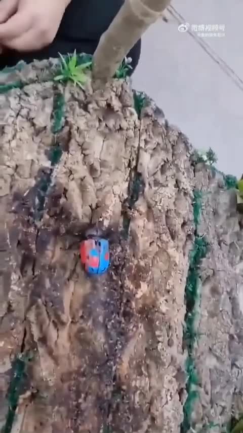 Bro Really Picked Up The Whole Car 😭