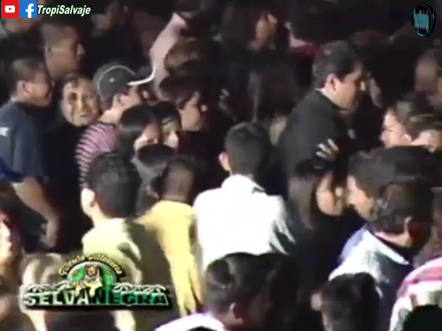 San Felipe selva negra fiera records