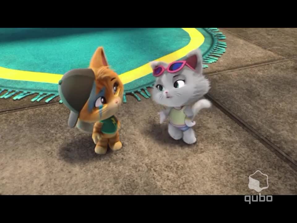 44 Cats DirecTV Signal Hijack Records (2020-2021)