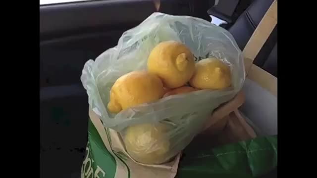 Will Sasso Lemon Compilation