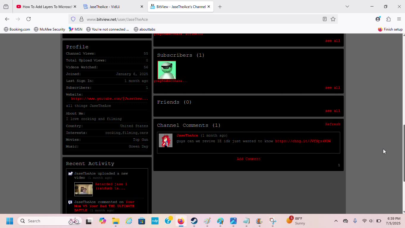 my bitview channel