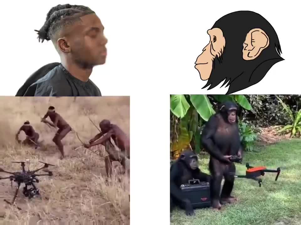 GSE10 vs Monkey, Who is smarter?