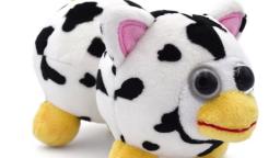 peepy check peepy check