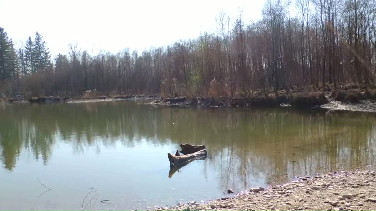 Peter Krug beim Singen