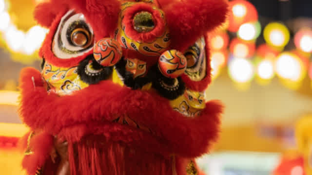 inside a dancing lion POV