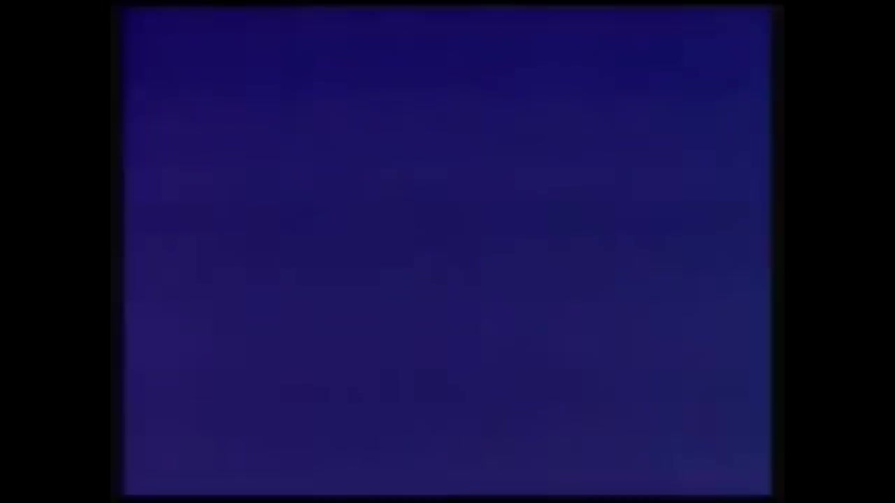 Miss Fritter’s Driving Skool Logos 2