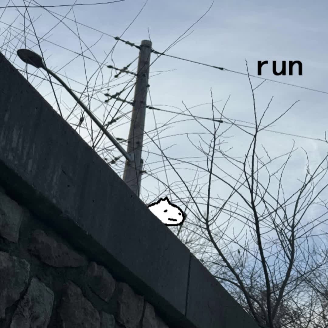run