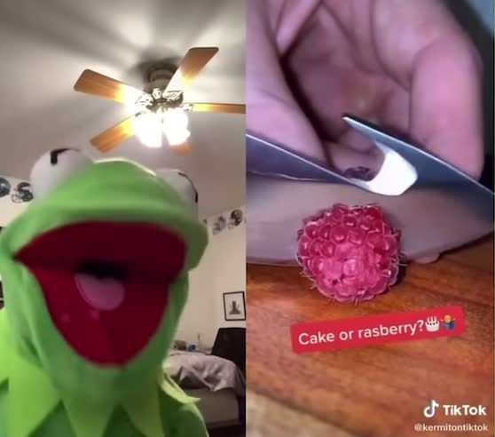Kermit gets jumpscared by a fucking raspberry