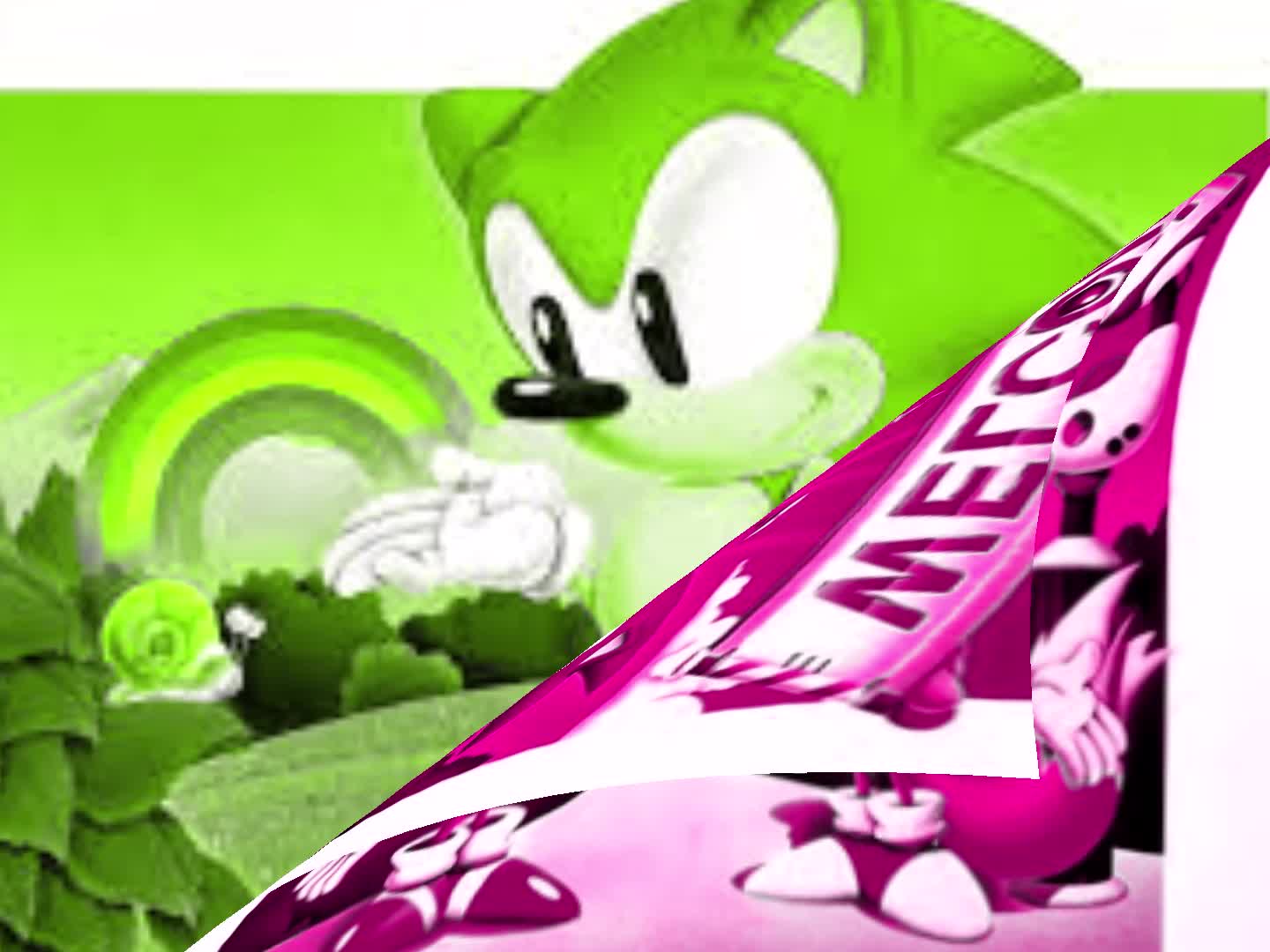 sonic sonic