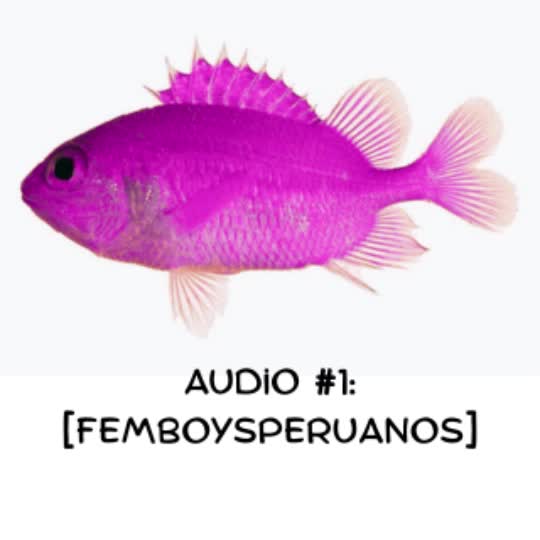 audio #1: [femboysperuanos]