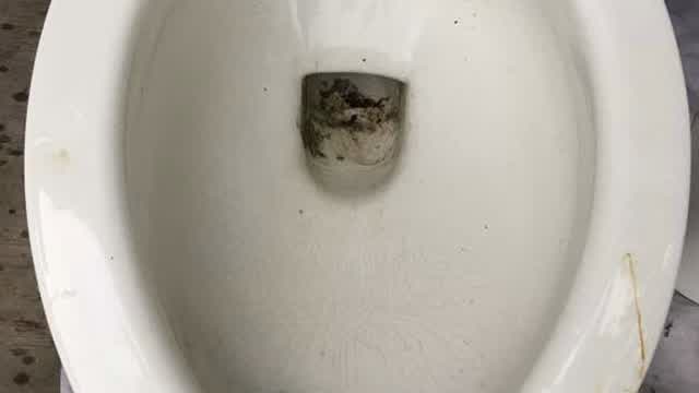 1968 Crane Santon! @ NBHS Nurse’s Restroom in New Braunfels, Texas 1968 Crane Santon! @ NBHS Nurse’s Restroom in New Braunfels, Texas