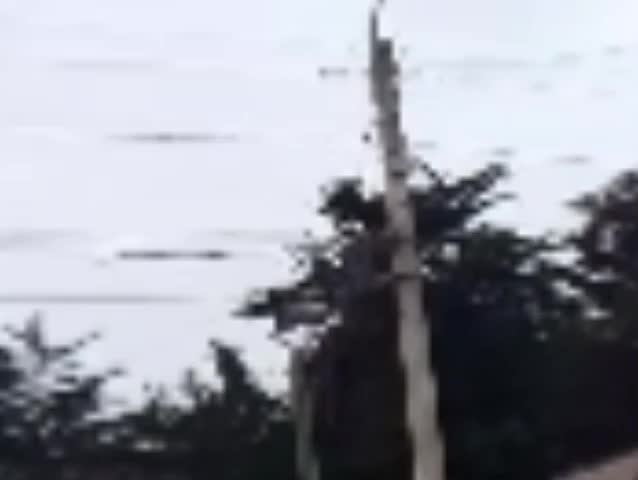 White_House.AVI (found footage)