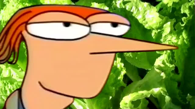 VLPH: El perturbador caso de Brendon y su parafilia dirigida a las ensaladas.