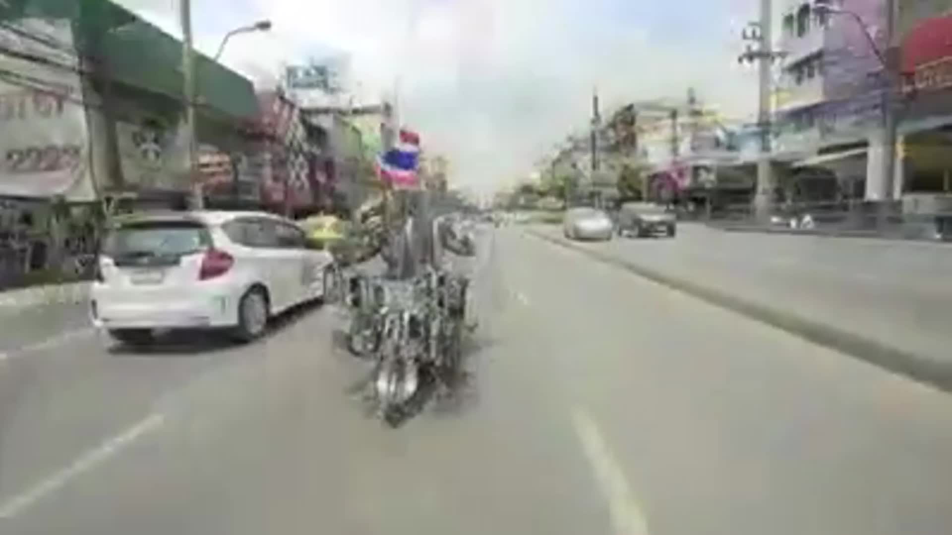 born to be wild as fuck born to be wild as fuck