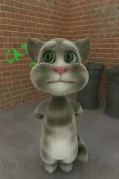 talkingtomthecat